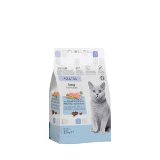 Comida gato adulto Supreme Compy con salmón, frutas y verduras