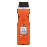 Gel de baño ambar y vetiver Deliplus piel normal
