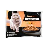 Gelatina gato adulto selección de aves Quartett