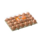 Huevos