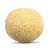 Melón Galia