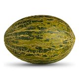 Melón piel de sapo